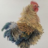 IMG_5611.jpeg