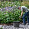 Summer gardening.