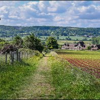 Tyntesfield path 2 halved..jpg