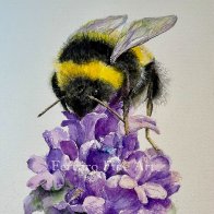 IMG_7816.jpeg