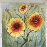 June 2025: Colors