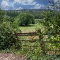 Leaning fence 7 halved..jpg