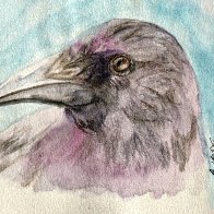 Raven June 2025.jpg