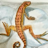 Lizard June 2025.jpg