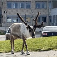 IMG_2577.jpeg