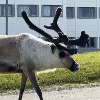 IMG_2579.jpeg