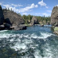 IMG_4231.jpeg