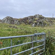 IMG_1547.JPG