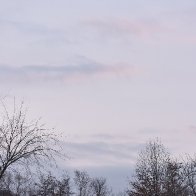 DSC_0010.jpeg