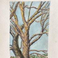 IMG_0574.jpeg