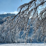 Defying The Heat-vawe 1.jpg