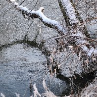 Defying The Heat-vawe 3.jpg