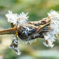 Defying The Heat-vawe 5.jpg
