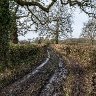 Muddy track.
