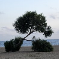 IMG_1301.jpeg