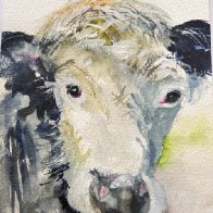 Animal Portraits 2.JPG
