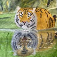 IMG_2140.jpeg