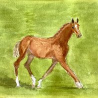 IMG_0684.jpeg