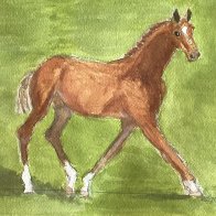 IMG_0684.jpeg