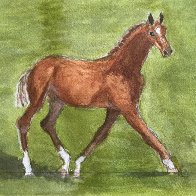 IMG_2158.jpeg