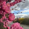 IMG_0410