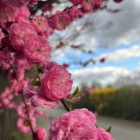 IMG_0410.jpeg