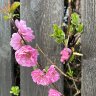 IMG_0416