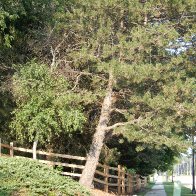 DSCN5885.JPG