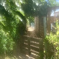 IMG_1782.jpeg