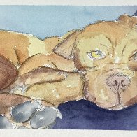 IMG_7279.jpeg