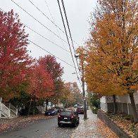 IMG_8663-scaled.jpg