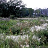 DSCN5864.JPG