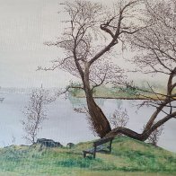Lake under trees.jpg