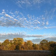 IMG_8734-scaled.jpg