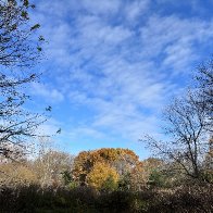 IMG_9049-scaled.jpg