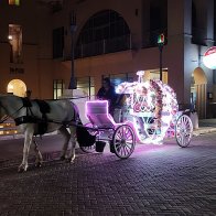 Horse and Carriage.jpg