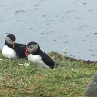 IMG_3008.jpeg