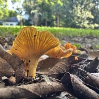 IMG_0405.jpeg