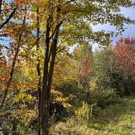 IMG_8334-scaled.jpg