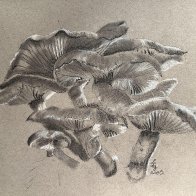 mushrooms by dave webb.jpeg