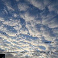 IMG_4326-scaled.jpg