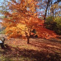 2014-11-11 09.39.31 HDR.jpg