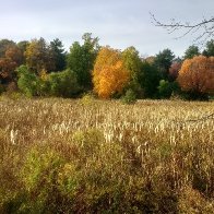 IMG_20171104_152539034_HDR-scaled.jpg
