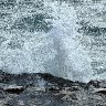 Surf