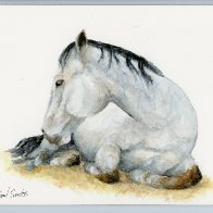 claybord 8x10 At Rest.jpg