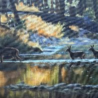 IMG_0467.jpeg