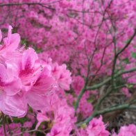 IMG_20170513_084826742.jpg
