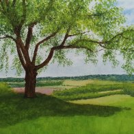 Steve Lyddon » Image Galleries » Reference Photos - Landscapes » Tree landscape.jve.jpg