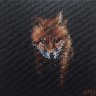Foxy