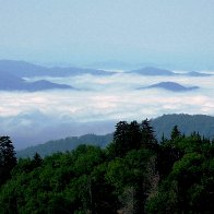 Smokey Mountain Morning 2011 gc.jpg